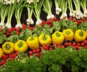 BORON AMINO ACID CHELATE